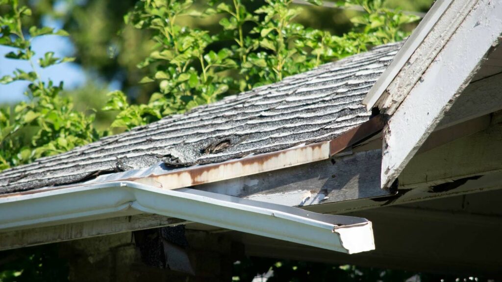 The Cost of Neglecting Your Gutters: Avoiding Expensive Repairs