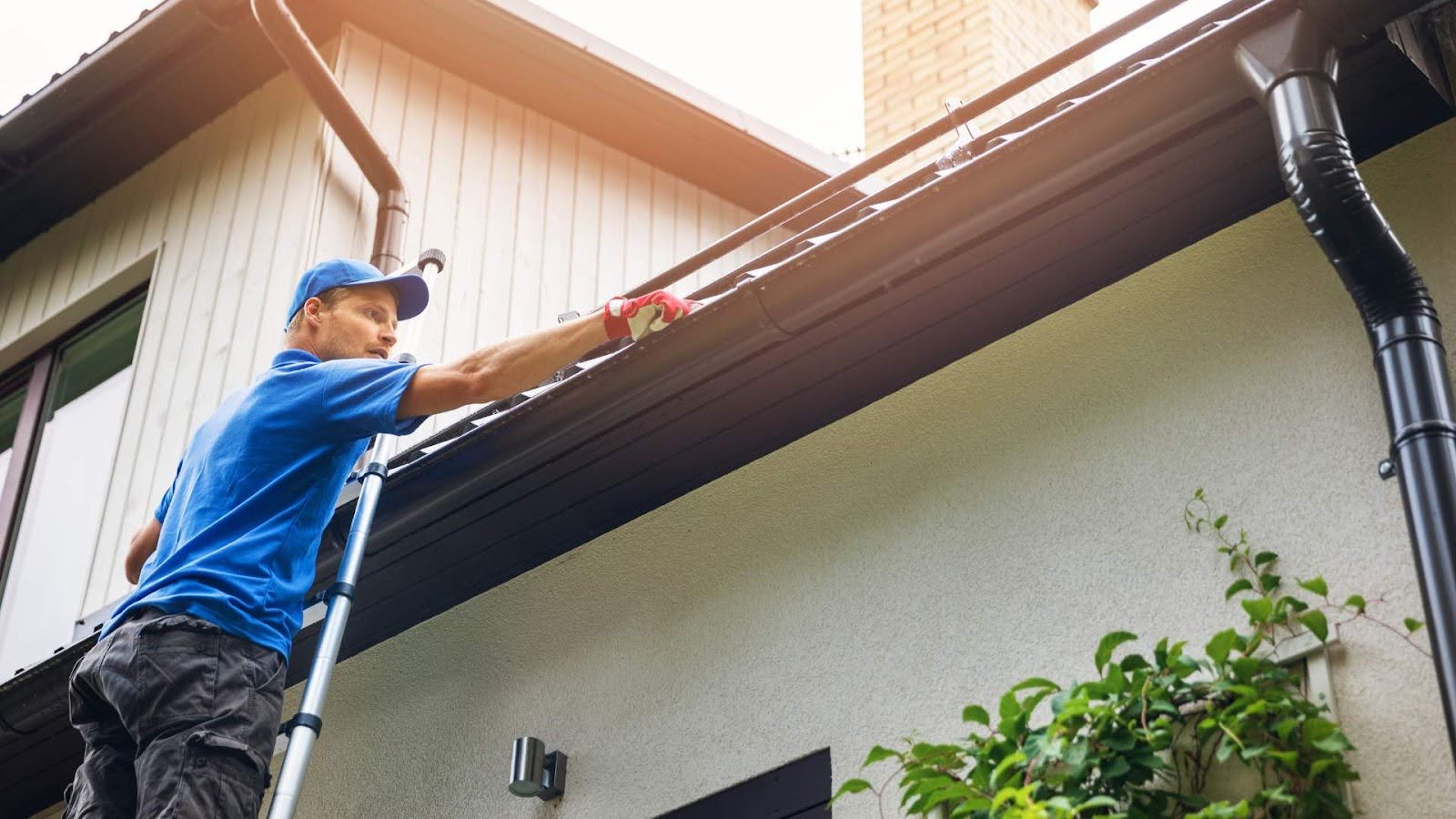 Why Summer is the Ideal Time for Gutter Inspections in Indianapolis