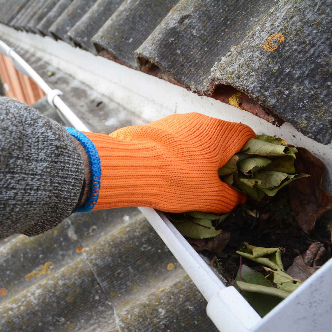 expert gutter cleaning service in Indianapolis