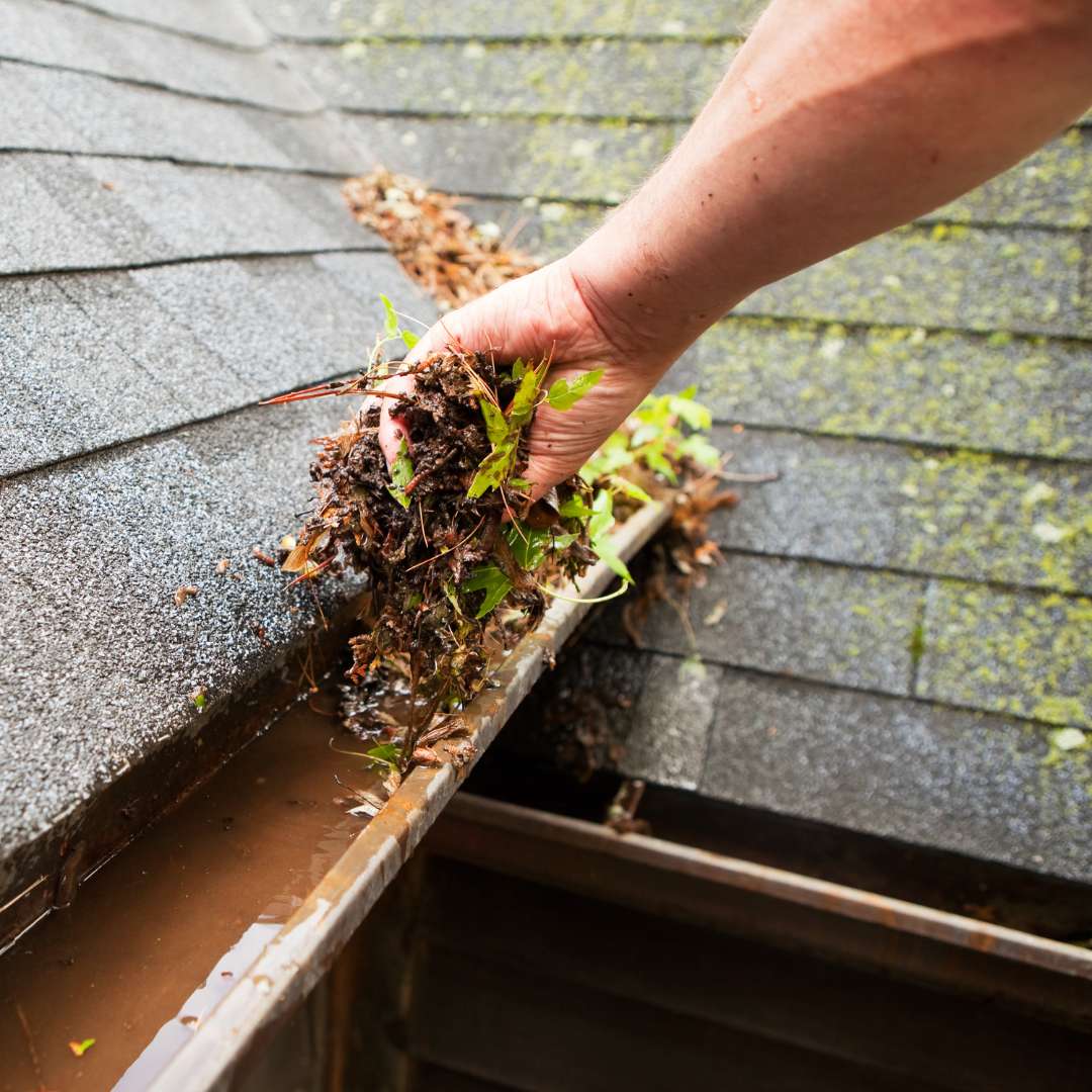 expert gutter cleaning service near Indianapolis