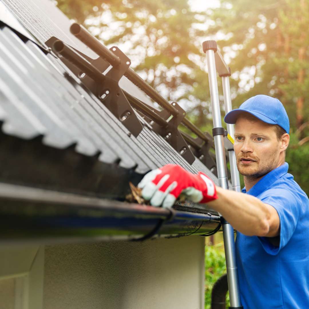 gutter maintenance in indianapolis