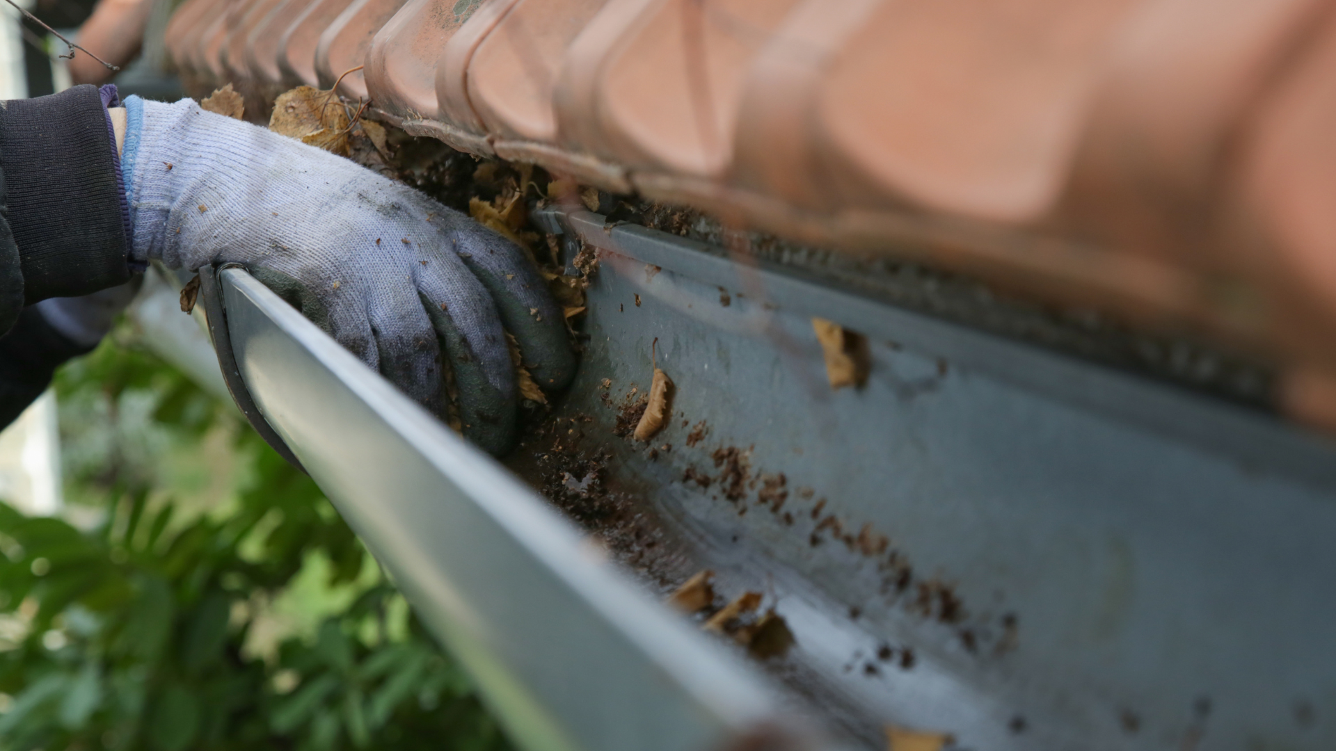 Dirty, clogged gutters being cleaned