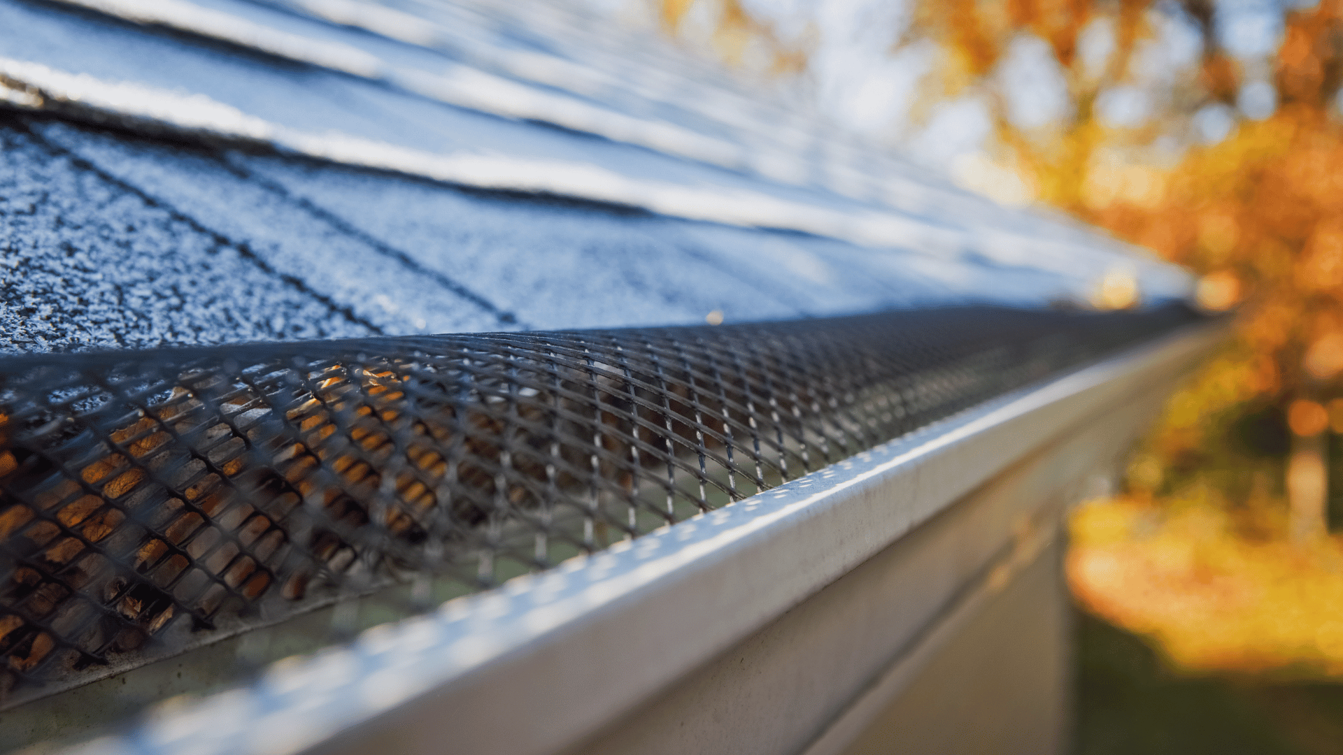 Cleaning gutters with gutter guards