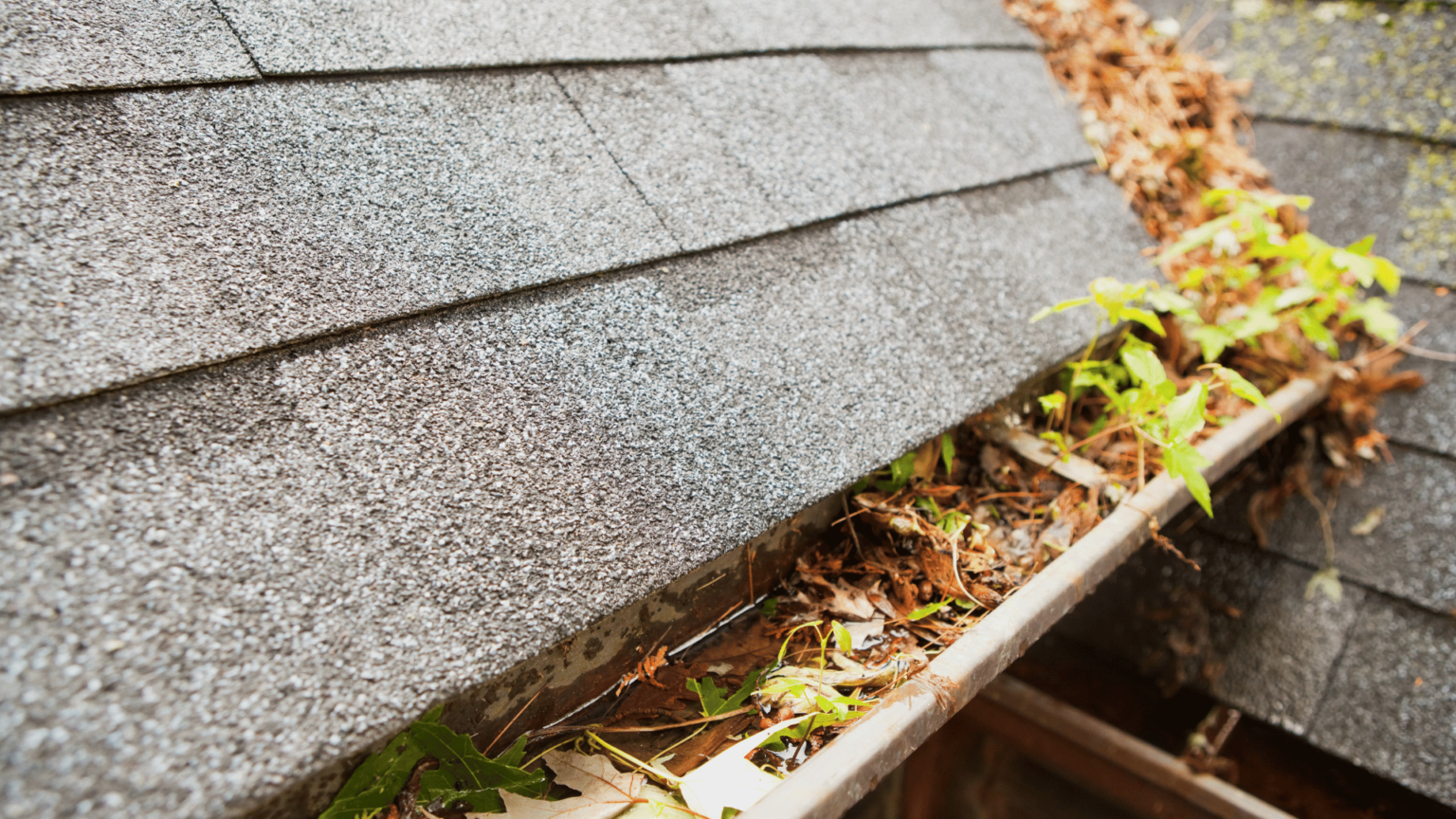 Gutter Oct The Complete Fall Gutter Cleaning Checklist - Auravex Gutters