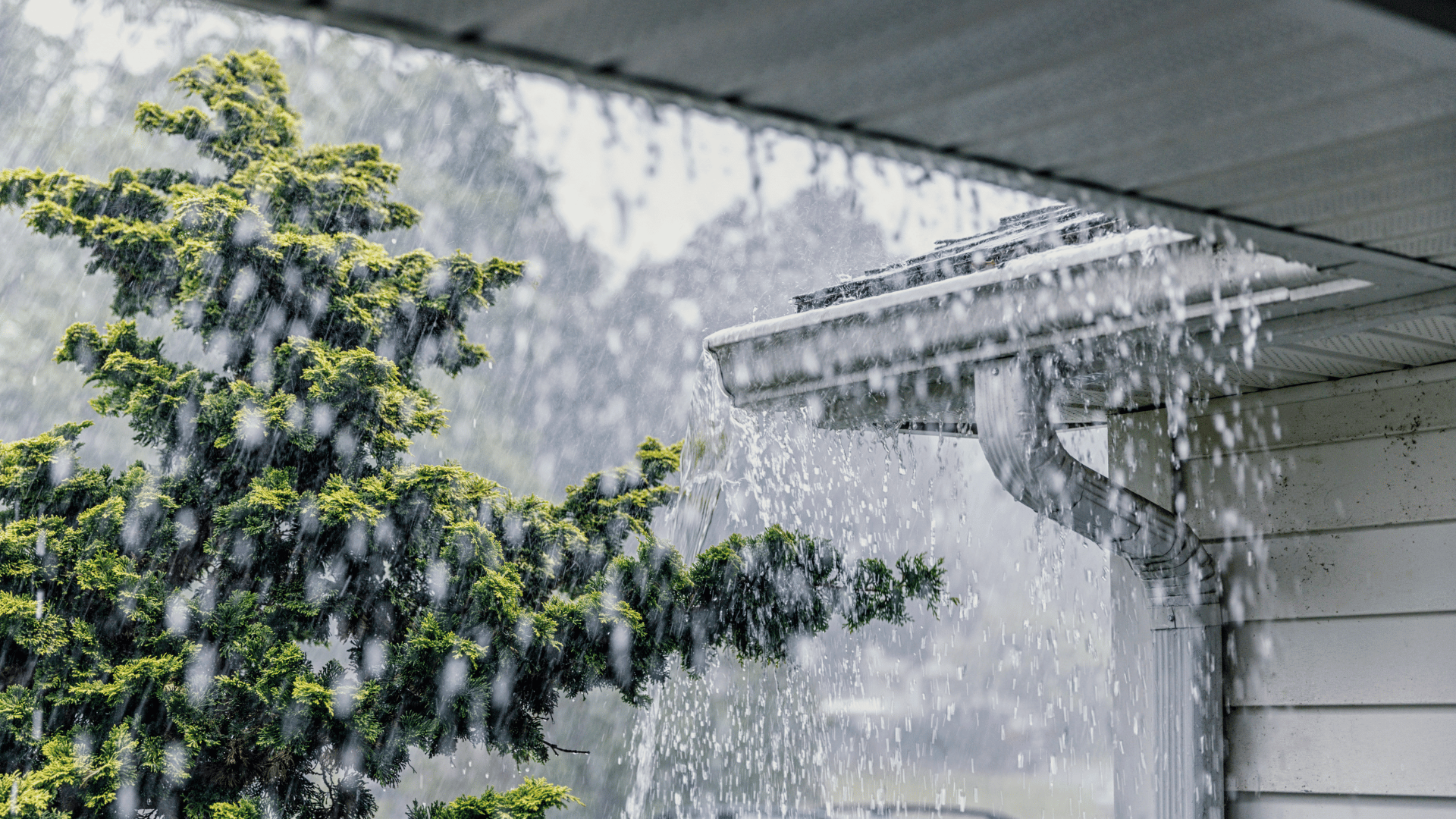 Neglected gutter maintenance causing overflowing gutters in storm