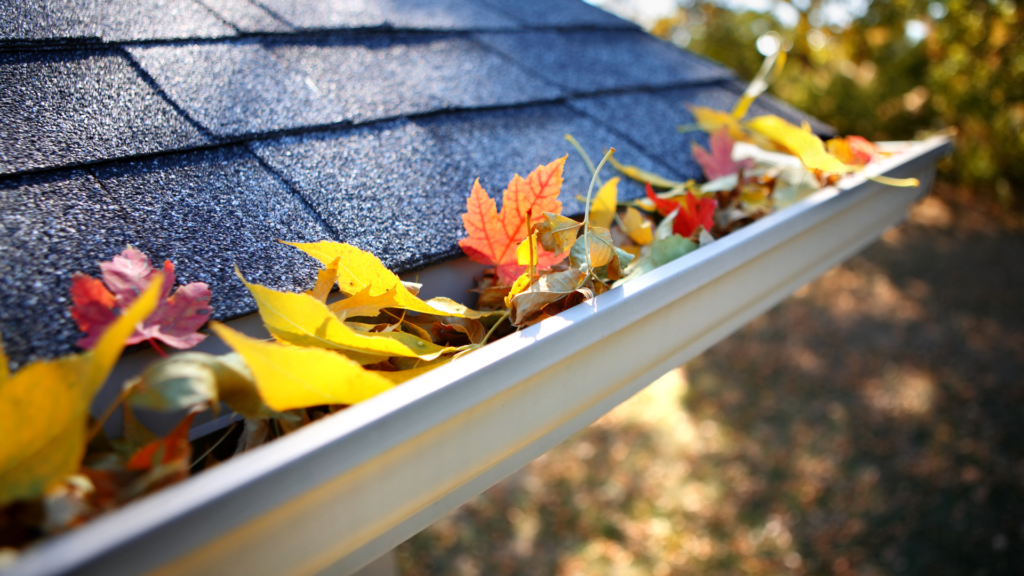 Gutter full of fall leaves